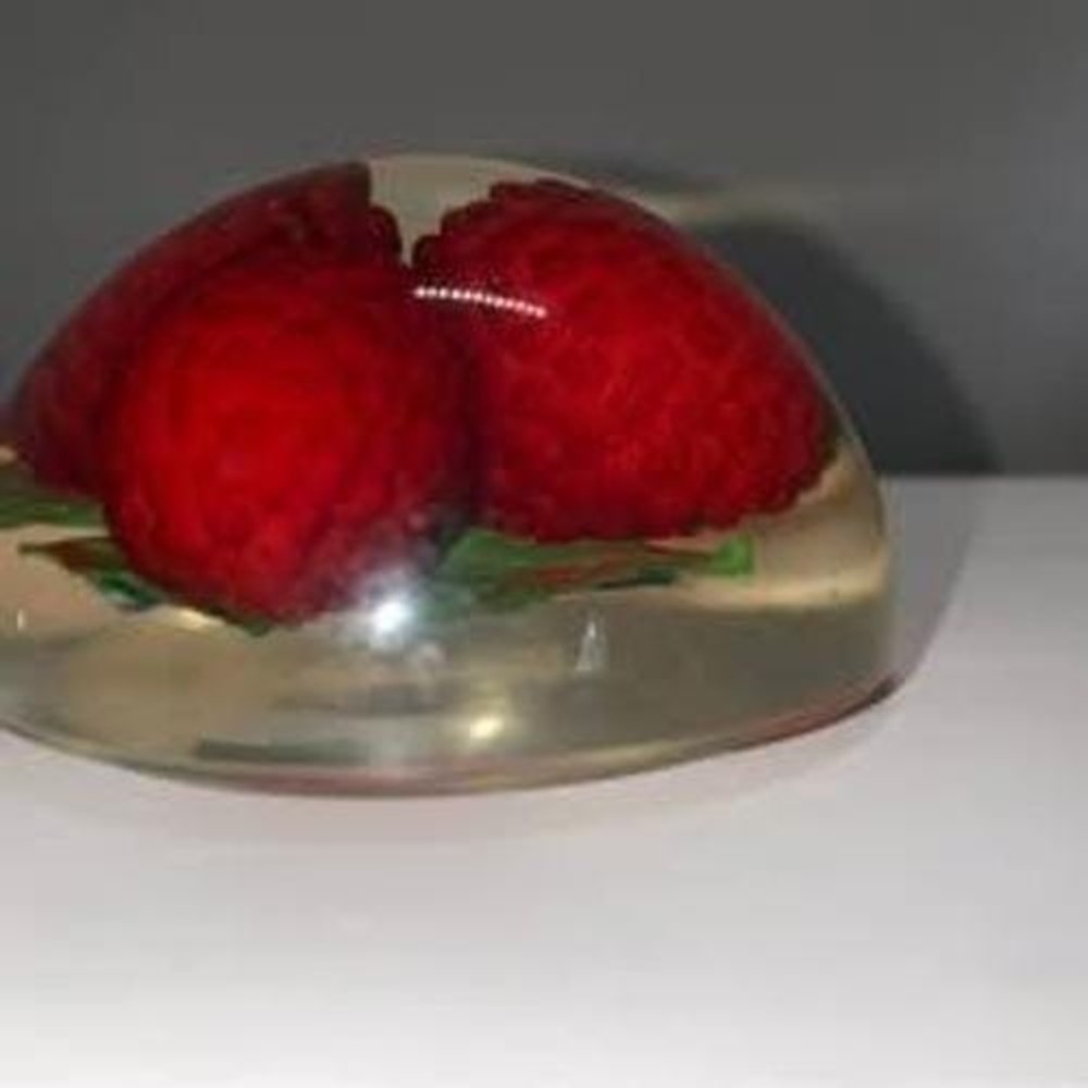 Vintage Lucite fruit paperweight - Picture 3 of 5